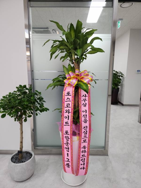 배송사진