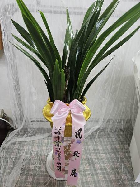 배송사진