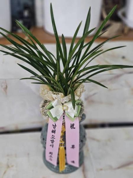 배송사진