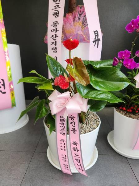 배송사진