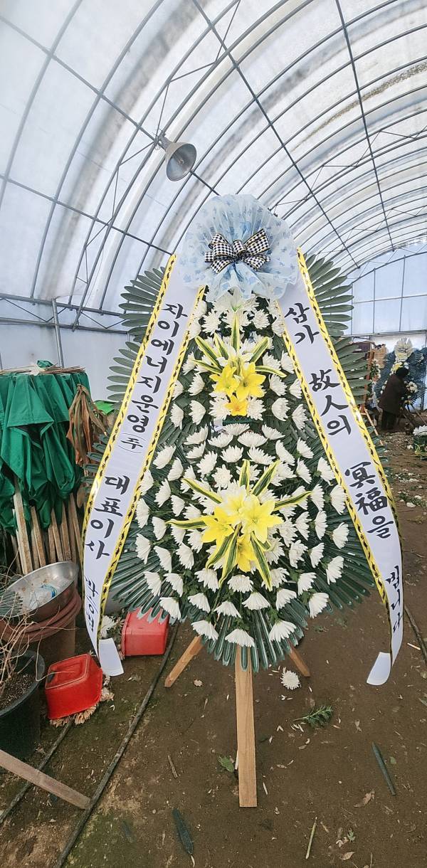배송사진