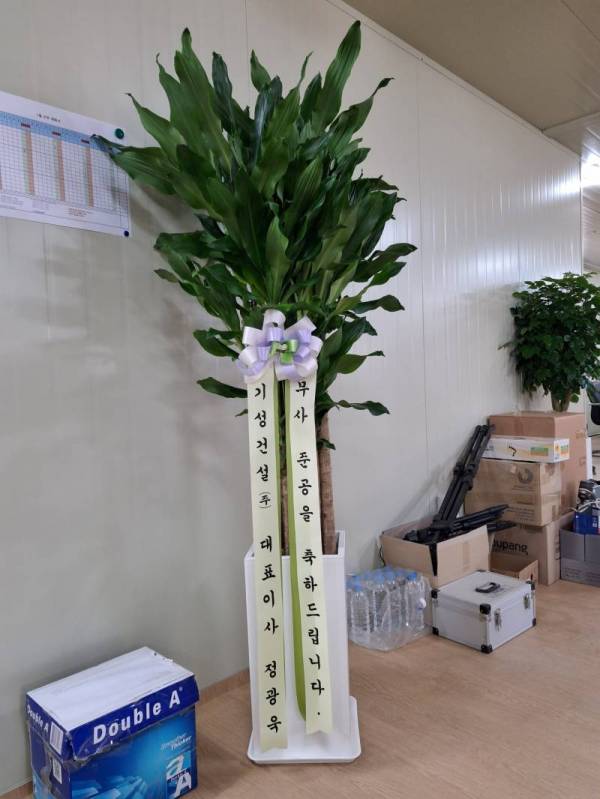 배송사진