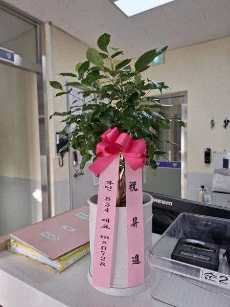 배송사진