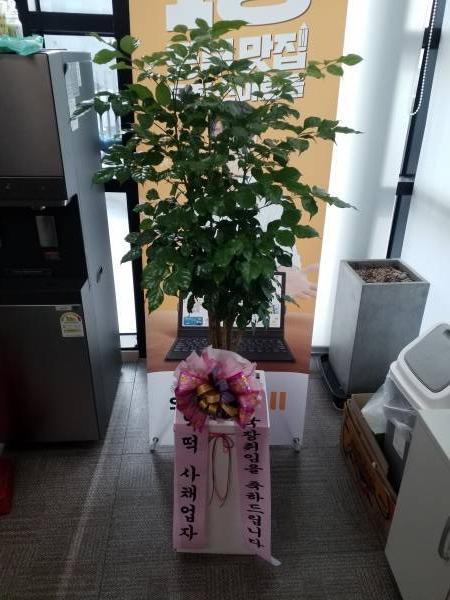 배송사진