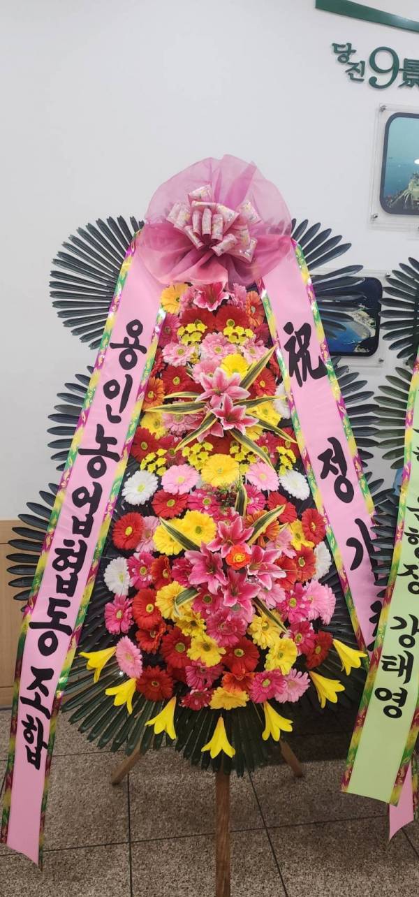 배송사진