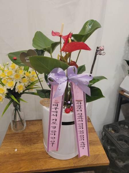 배송사진