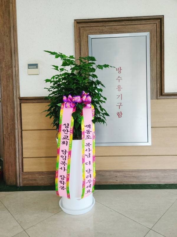 배송사진