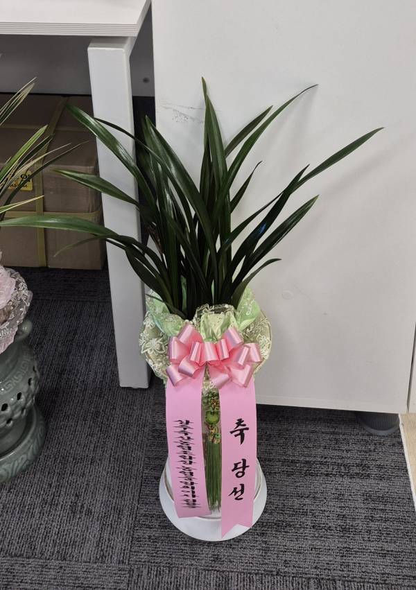 배송사진