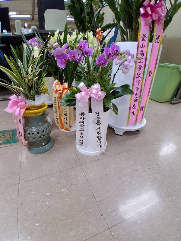 배송사진