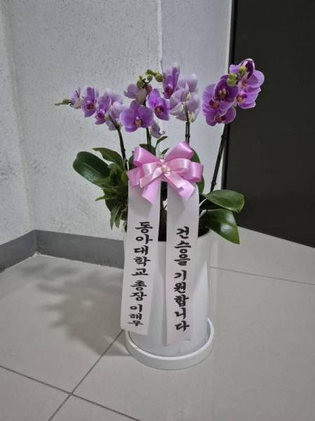 배송사진