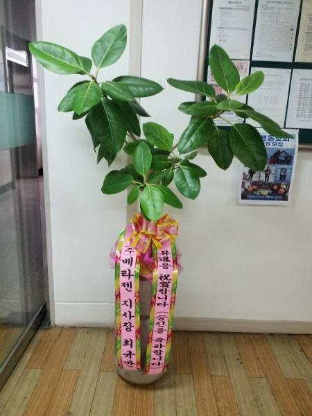배송사진