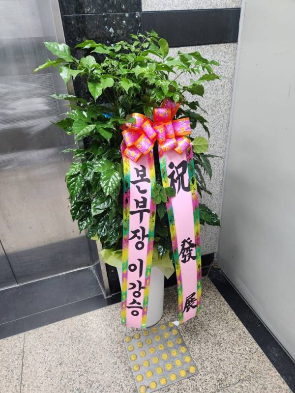 배송사진