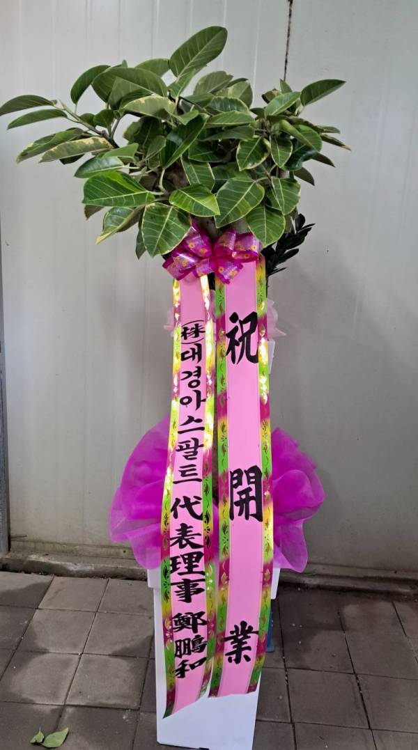 배송사진