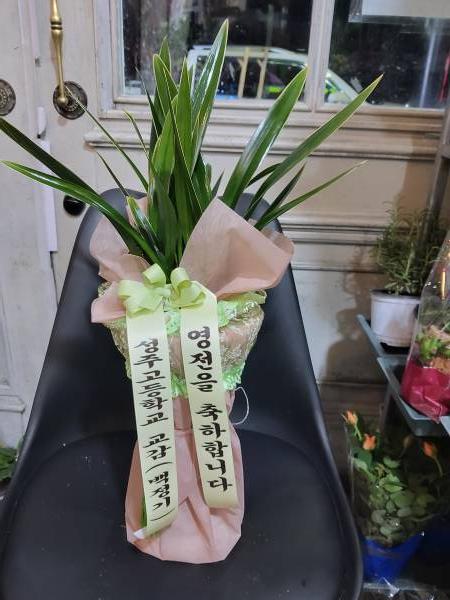 배송사진