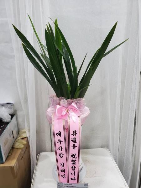 배송사진