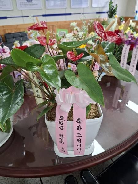 배송사진