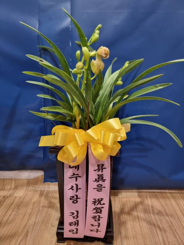 배송사진