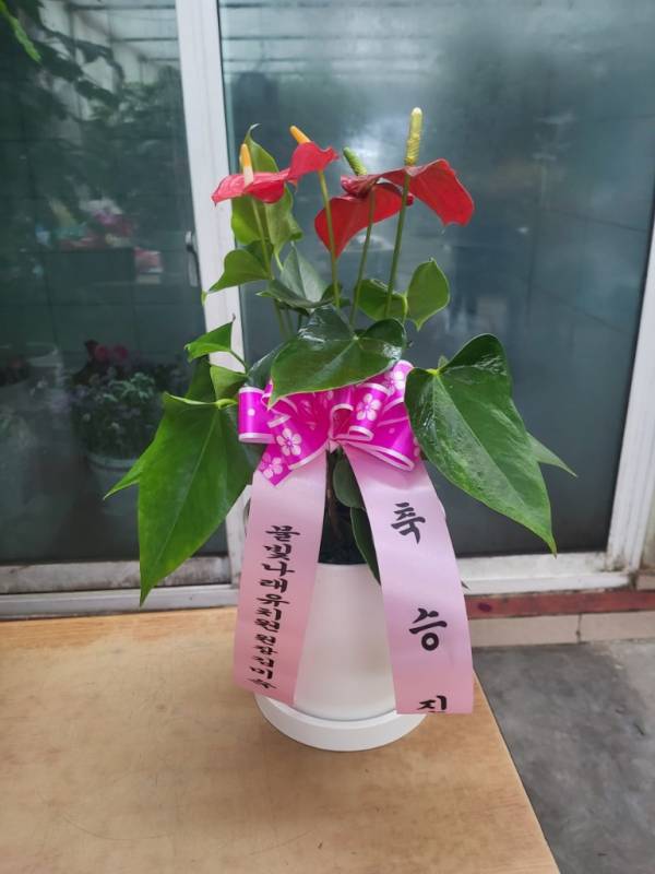 배송사진
