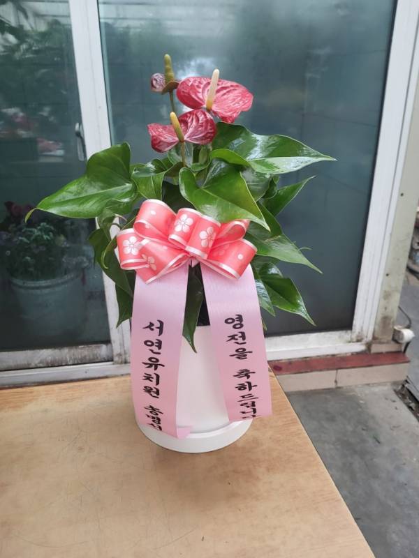 배송사진