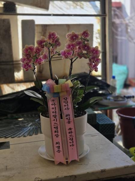 배송사진