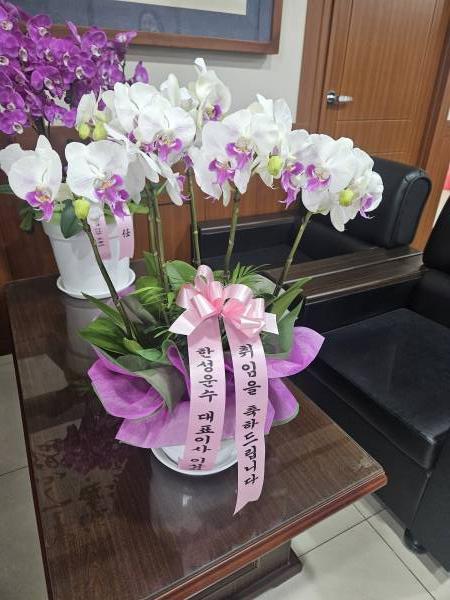 배송사진