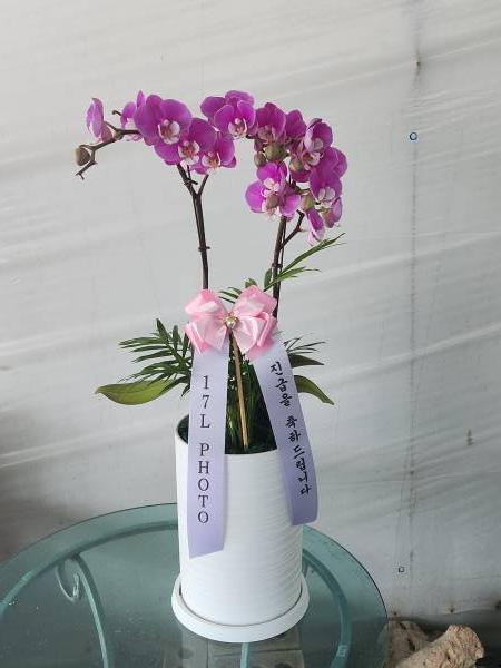 배송사진