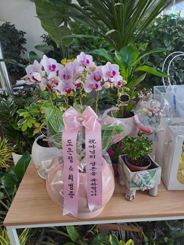 배송사진