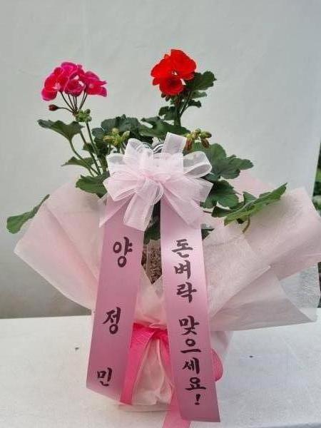 배송사진