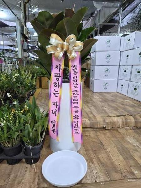 배송사진
