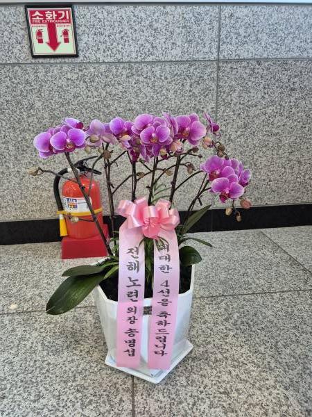 배송사진