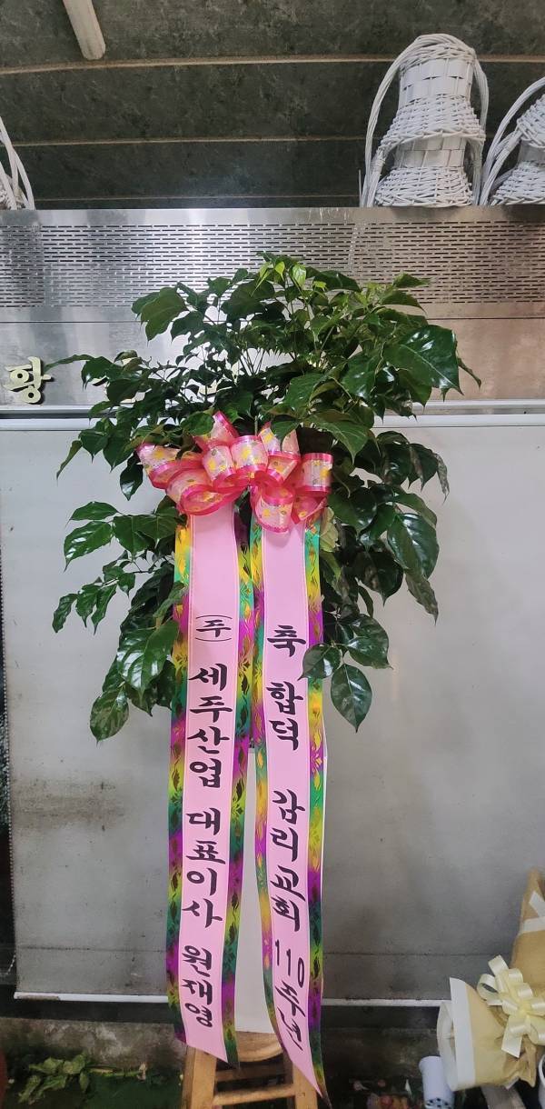 배송사진