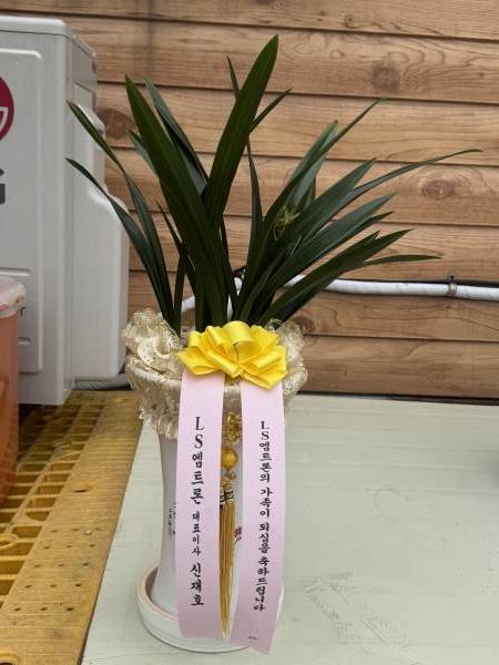 배송사진
