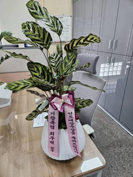 배송사진