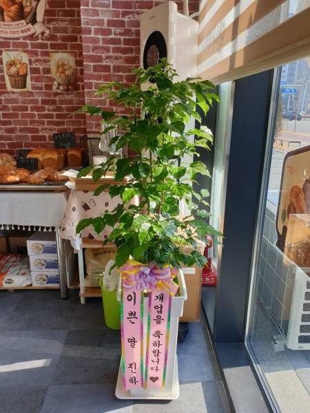 배송사진