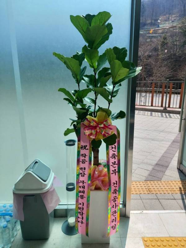 배송사진