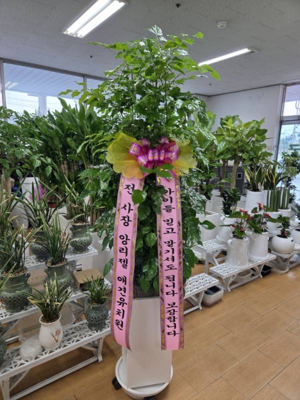 배송사진