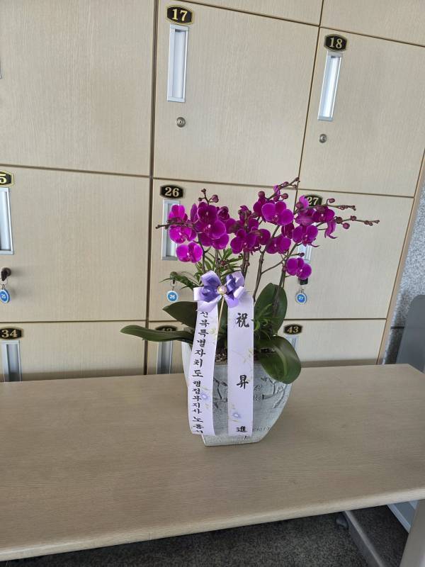 배송사진