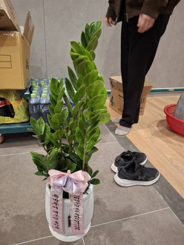 배송사진