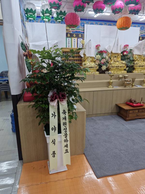 배송사진
