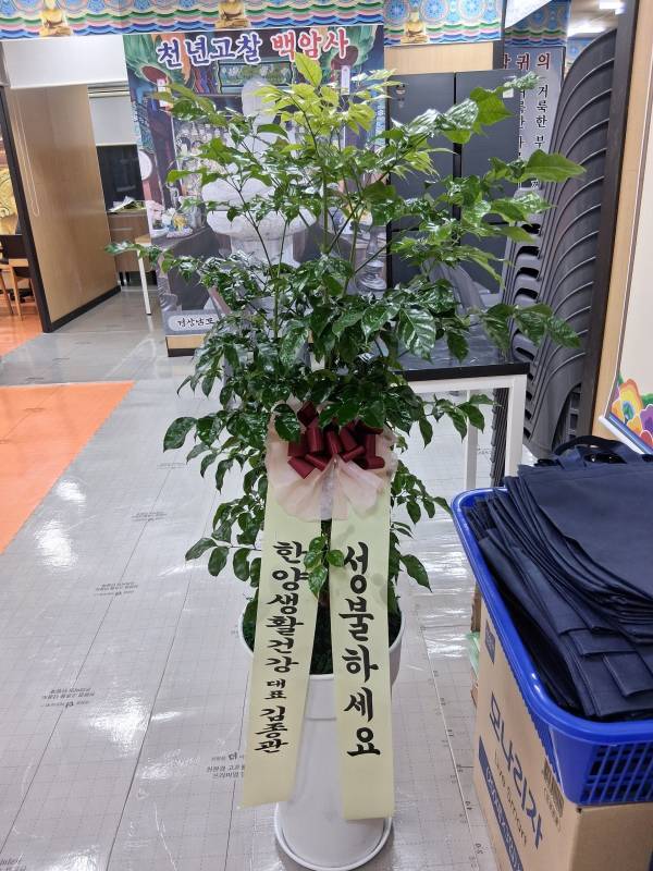 배송사진