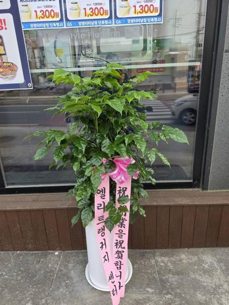 배송사진
