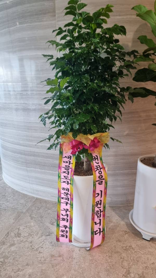 배송사진