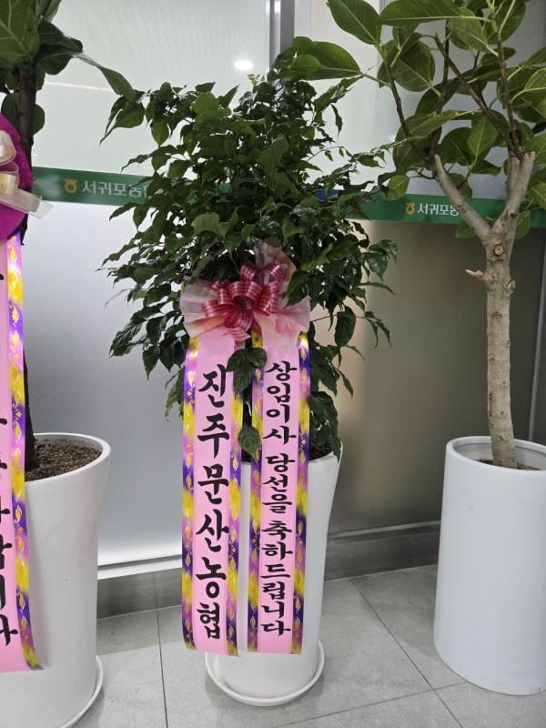 배송사진