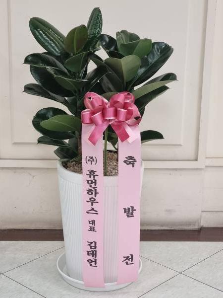 배송사진