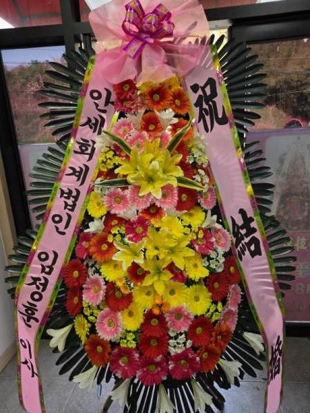 배송사진
