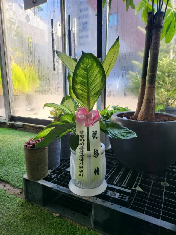 배송사진