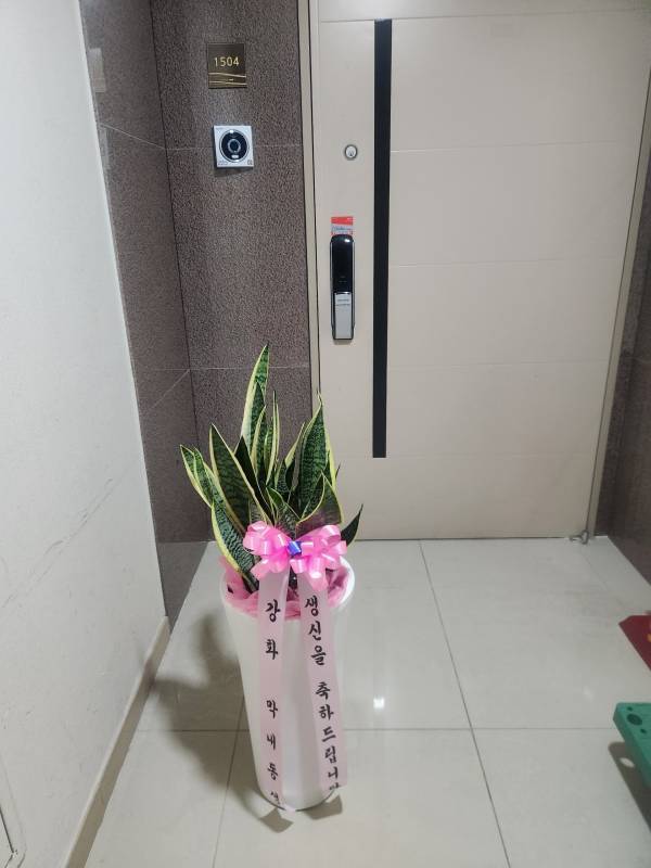 배송사진