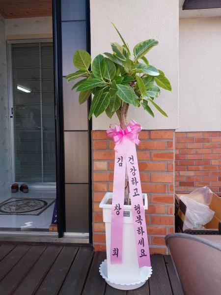 배송사진