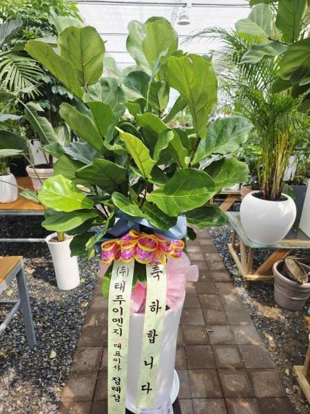 배송사진