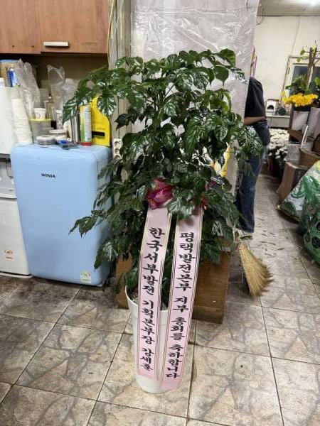 배송사진